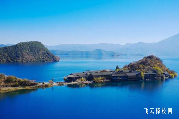 如何通過單招培訓提高錄取概率？成功學員經驗分享