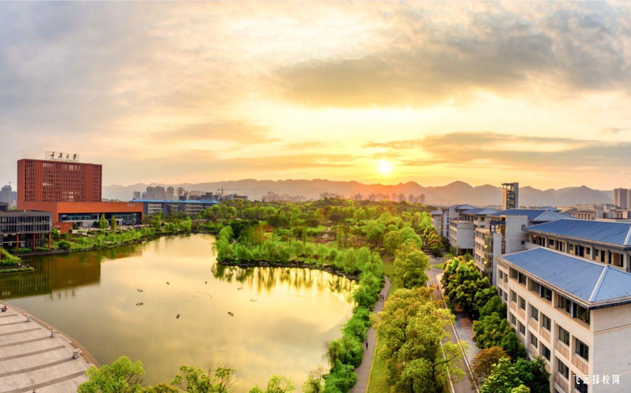 如何通過單招培訓提高錄取概率?成功學員經驗分享