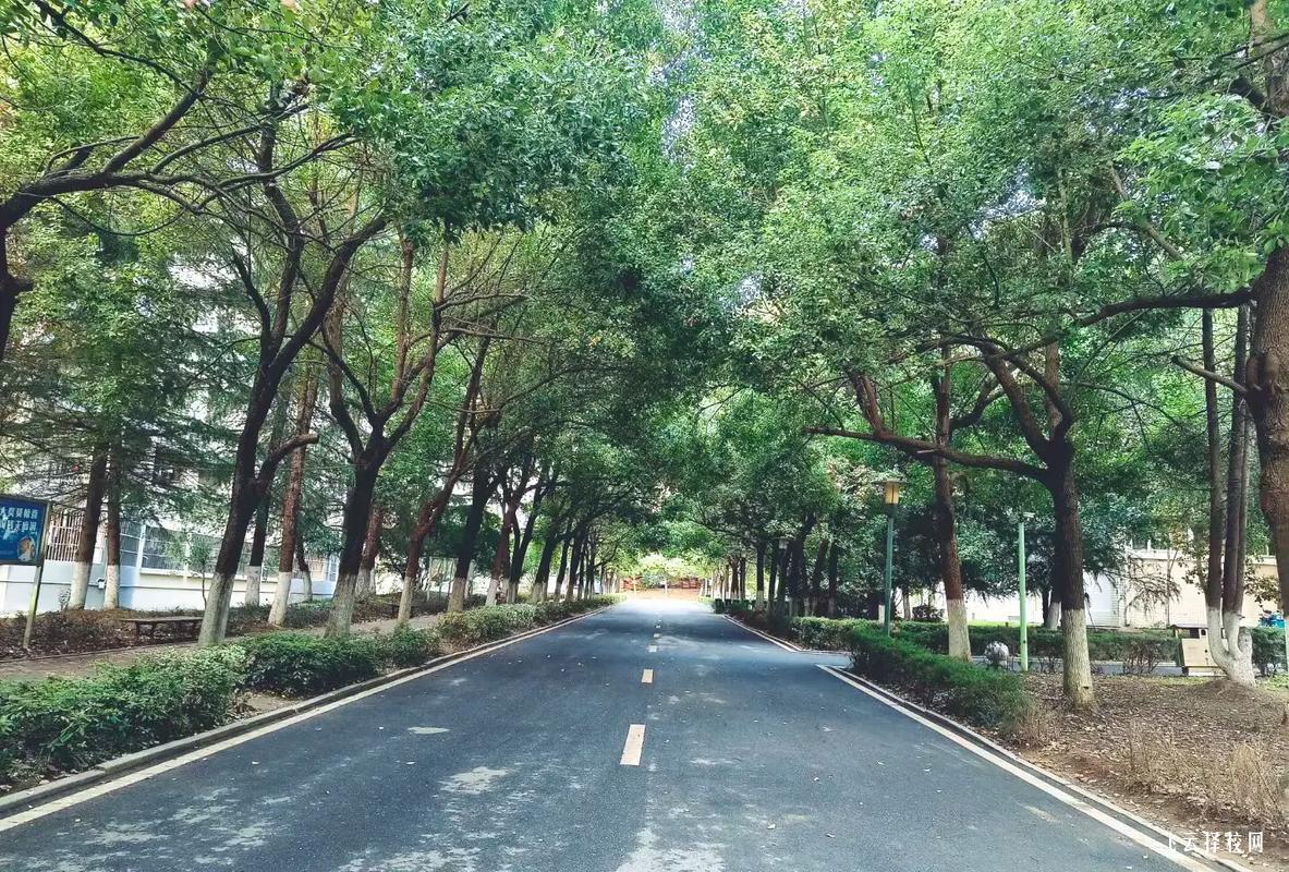 四川單招常見的填報志愿誤區,你知道嗎？