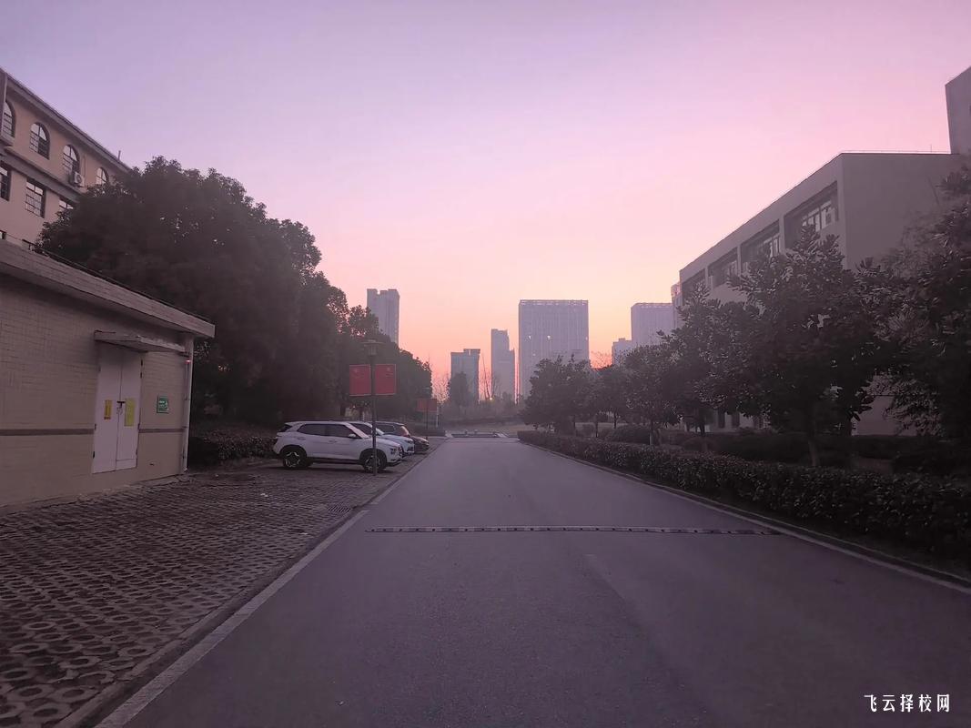 四川單招常見的填報志愿誤區,你知道嗎？