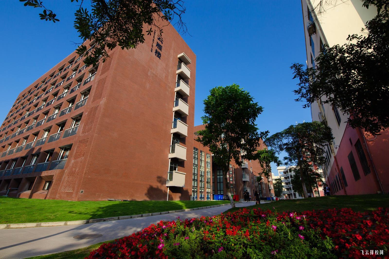 四川單招單科成績查詢方式,如何快速獲取結果？