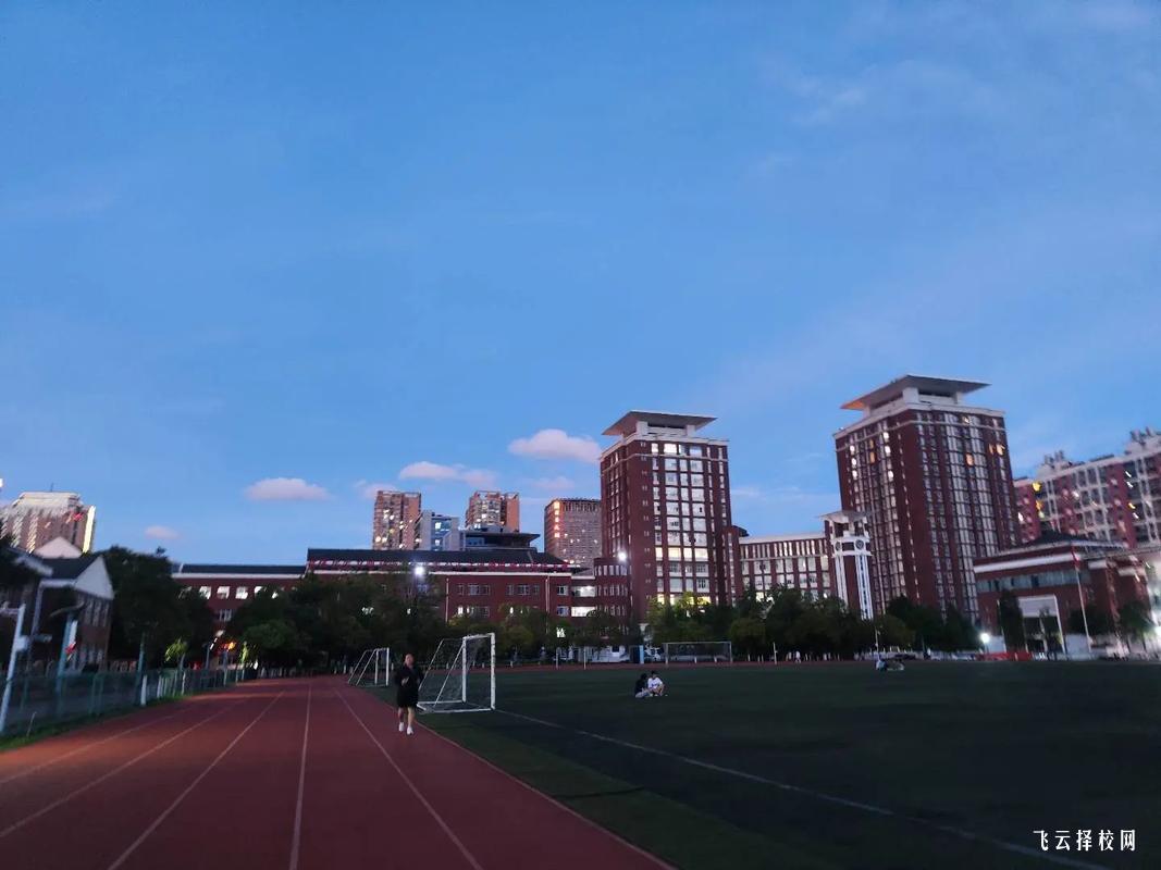 四川單招單科成績查詢方式,如何快速獲取結果？