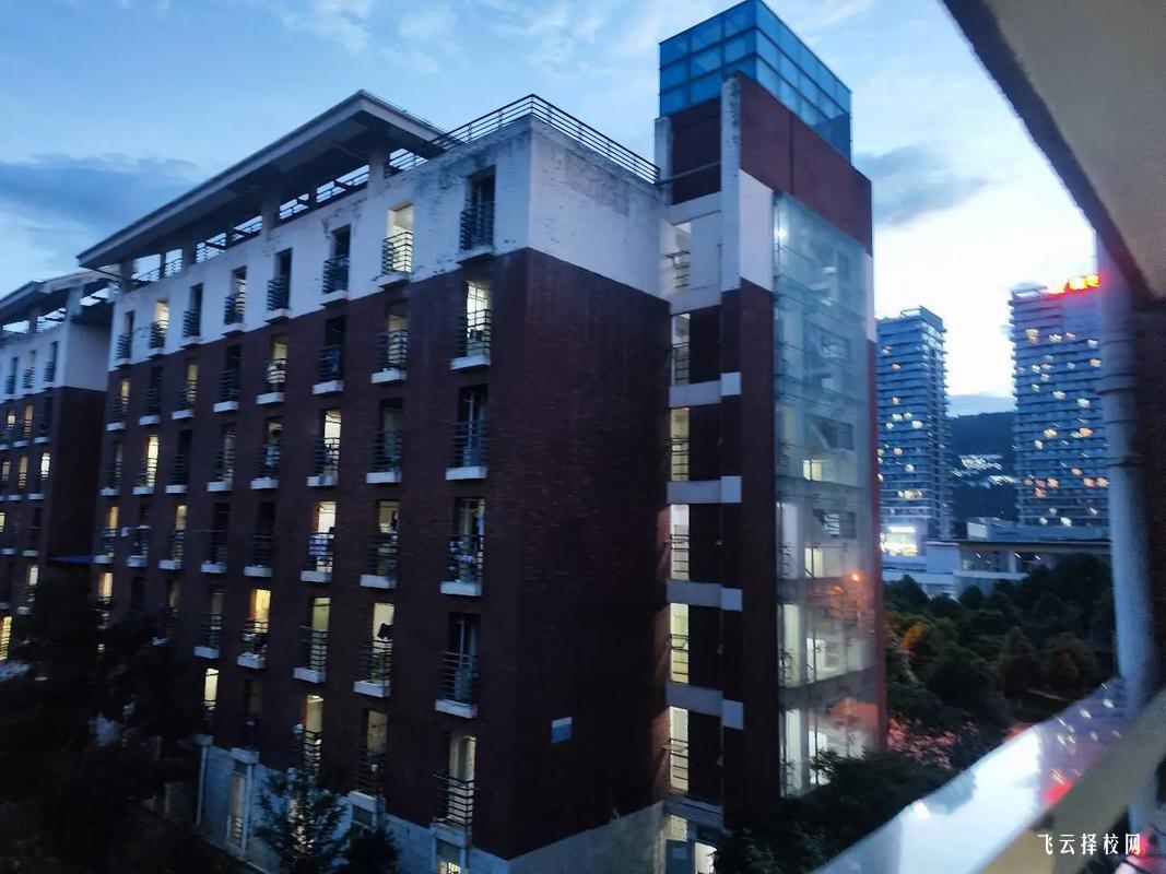 四川單招分數線是多少,各大院校單招分數匯總