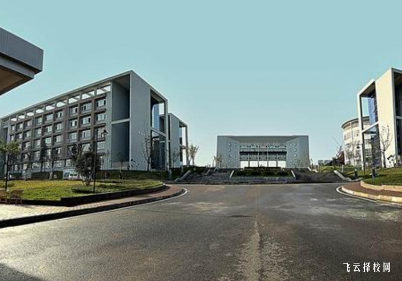 四川單招各大院校招生人數,選報專業不再擔心