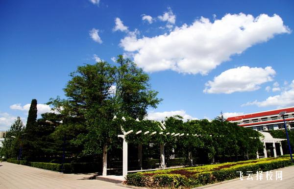 四川單招各大院校招生人數,選報專業不再擔心