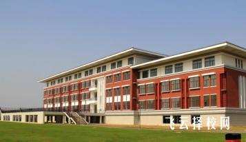 四川單招和成人高考有何區別?你選哪條路?