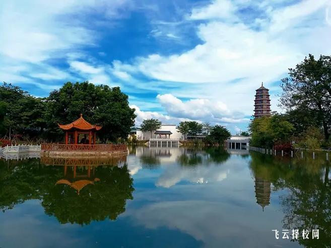 四川單招考試時間安排及注意事項,考生必讀