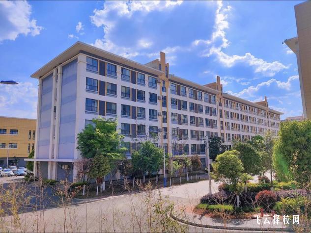 四川單招新政策解析：2025年考試變化一覽