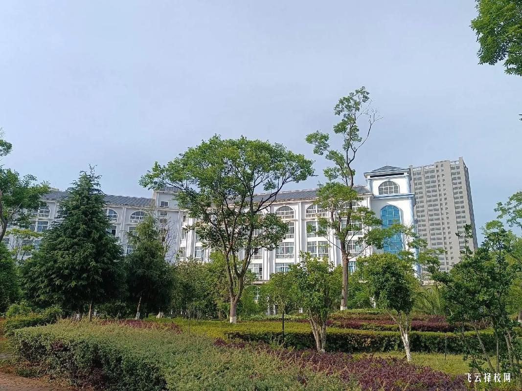 四川單招院校有哪些獎學(xué)金政策？考生如何申請？