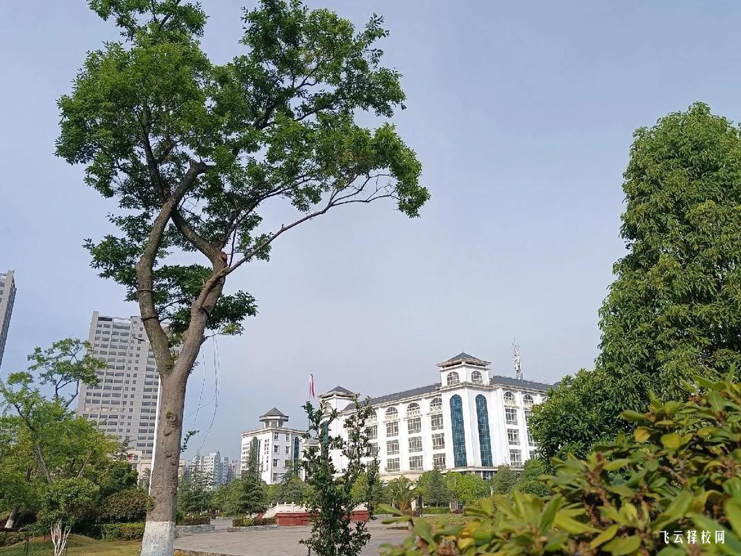 四川單招院校有哪些獎學金政策?考生如何申請?