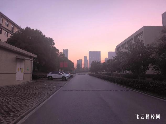 四川單招招生計劃公布：哪些專業(yè)熱門？