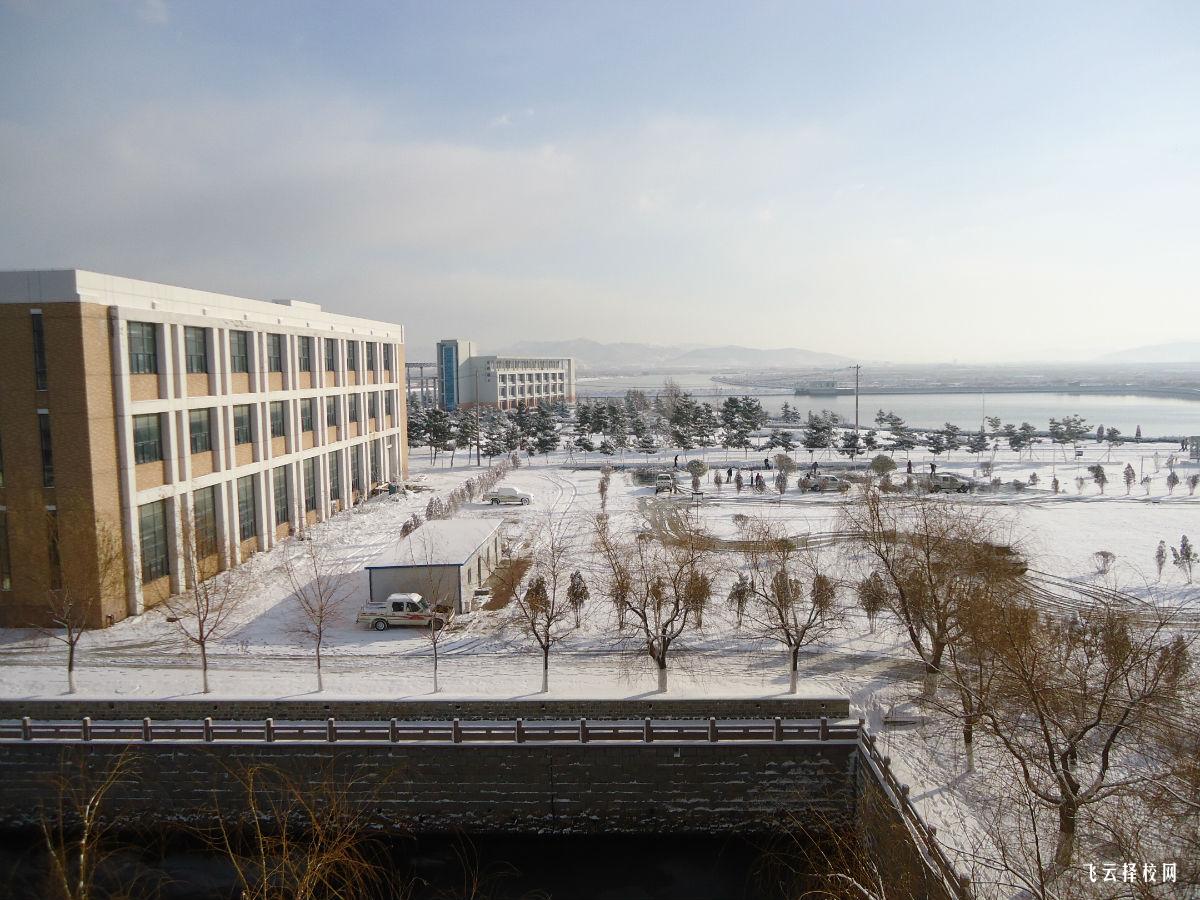 如何選擇未來發展有潛力的專業