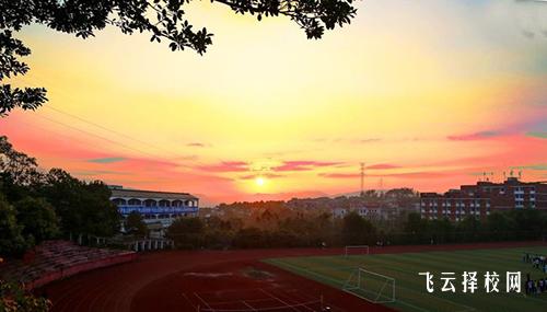 四川中職學(xué)校熱門專業(yè)推薦