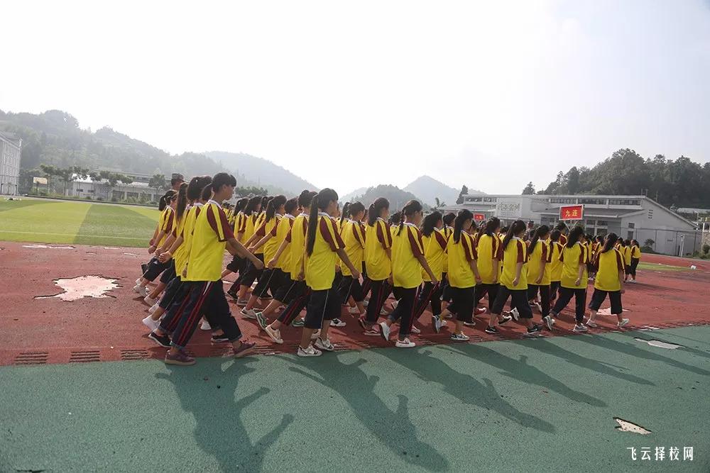 四川中職與職高差異解析