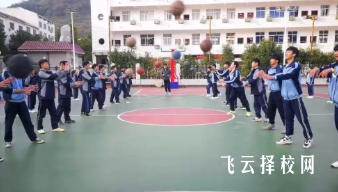 職高學(xué)費(fèi)與就業(yè)率是否成正比