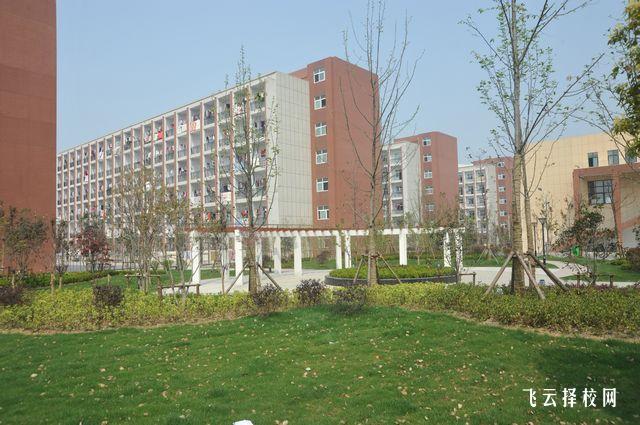 職高與中職的課程差異