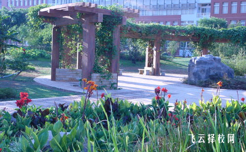 職高學(xué)費性價比分析,選擇合適學(xué)校