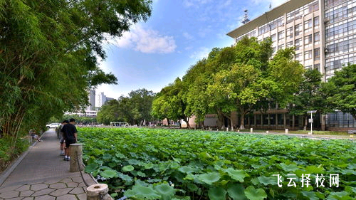 職高學校的教學理念和學習方法是怎樣的