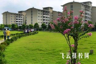 職高學(xué)校的校園文化如何影響學(xué)生成長(zhǎng)