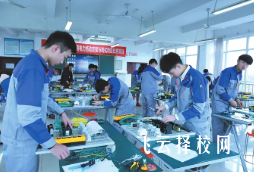 中職技能專業(yè)提升就業(yè)力