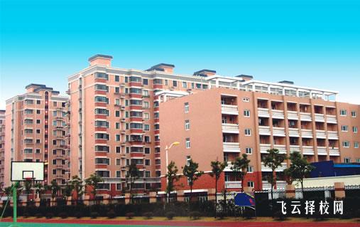 中職特色專業(yè)及就業(yè)分析