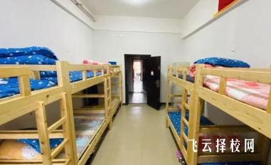 中職學校學費、住宿與專業選擇