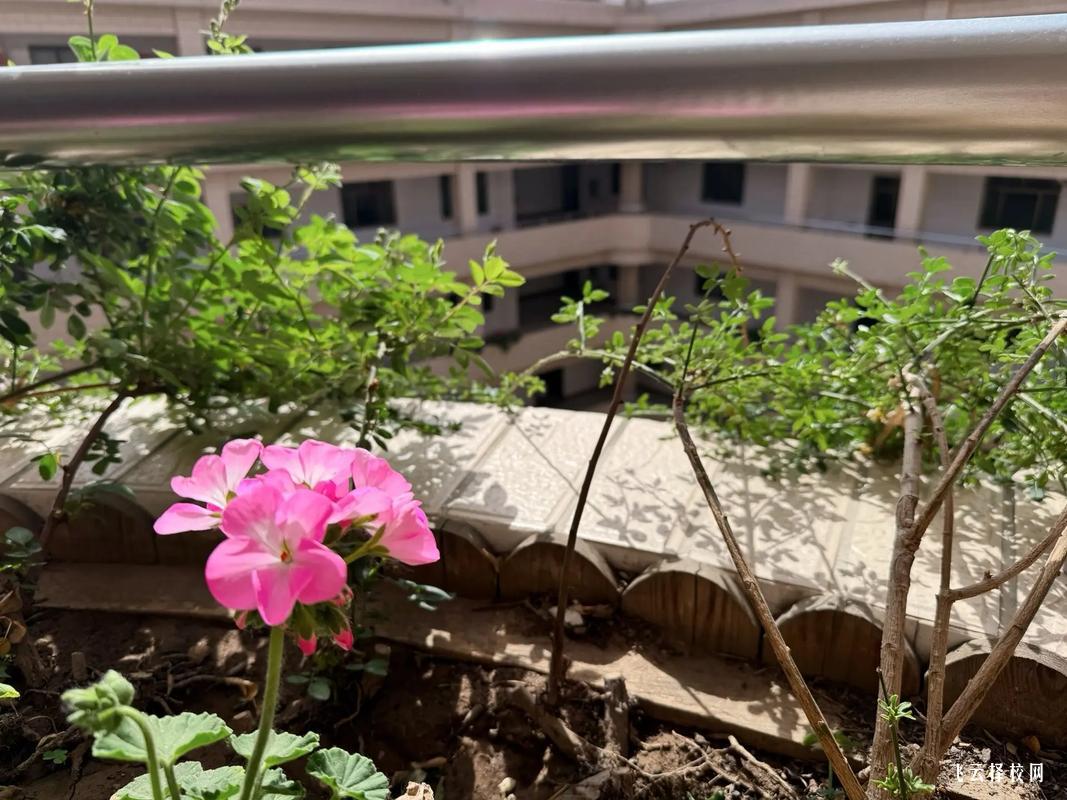 如何為孩子選擇職高學校,減輕壓力