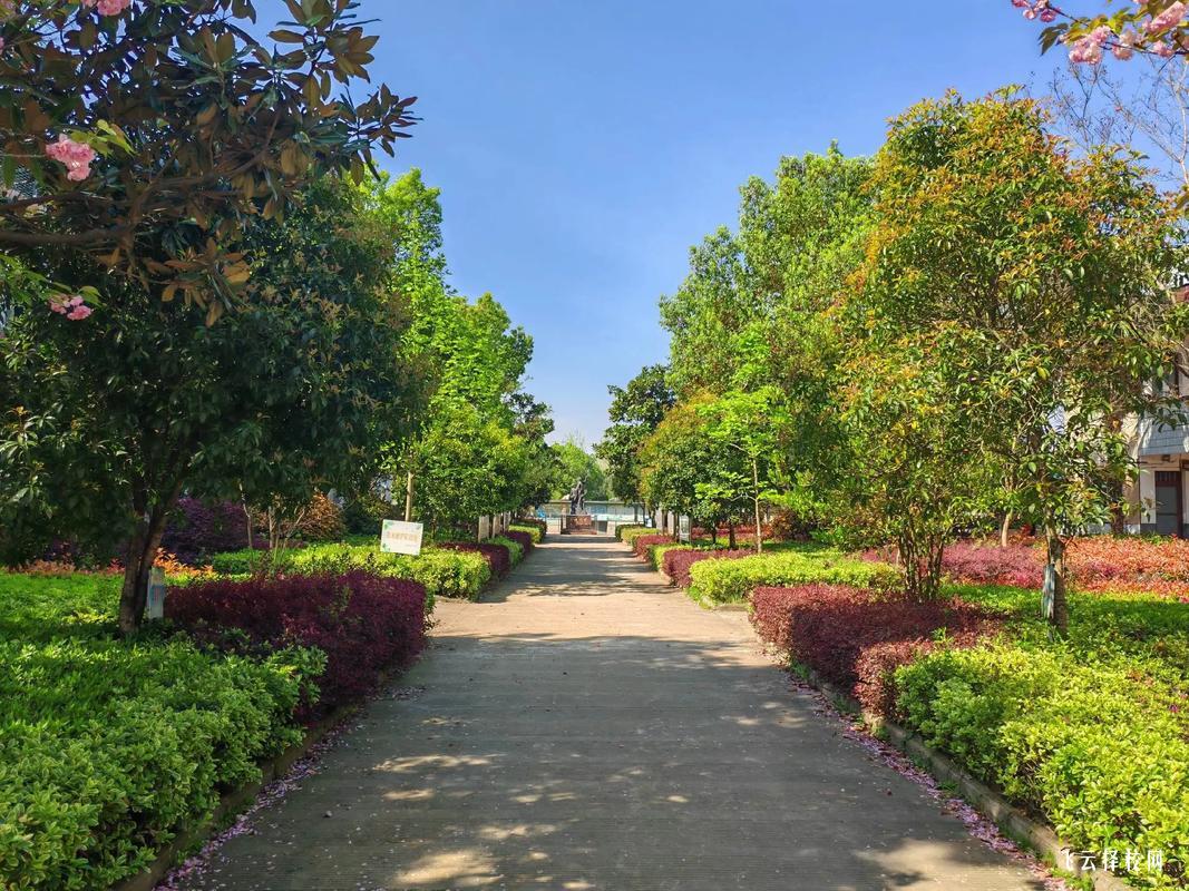 如何選擇最適合的職高專業(yè)方向