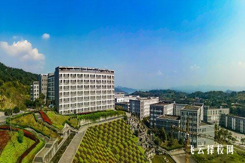 初升高,為什么選中職學校