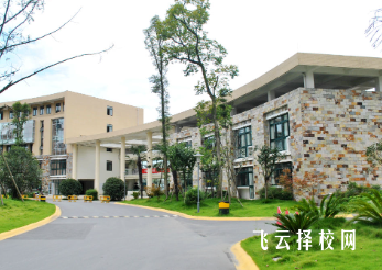 四川藝術職業學院的藝術類專業課程與就業機會解析