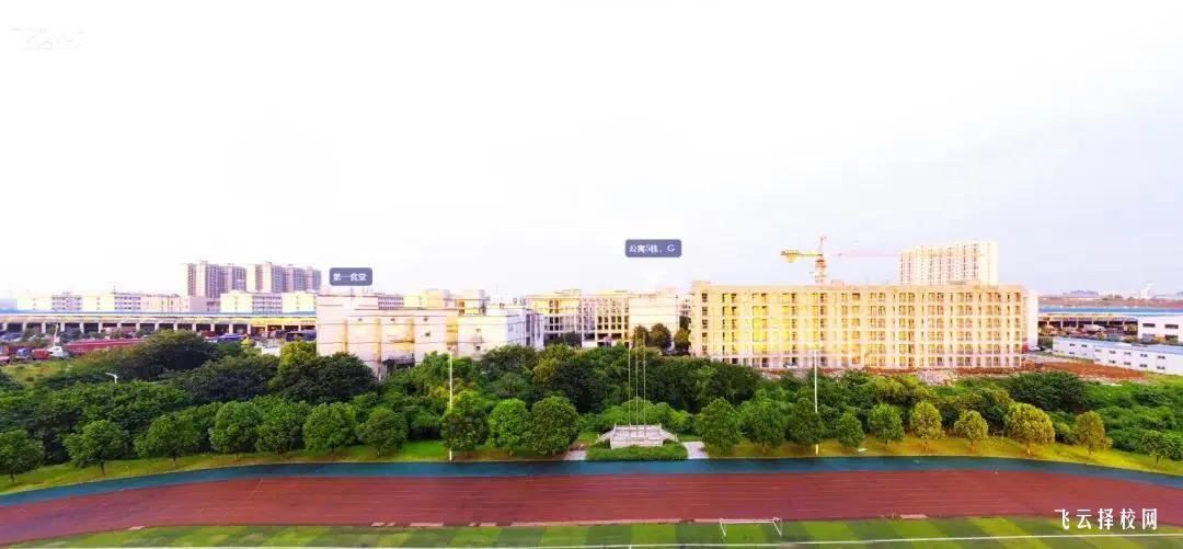 成都市文化藝術學校美術專業招生簡章