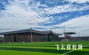 四川省體育運動學校如何選擇合適的體育專業(yè)