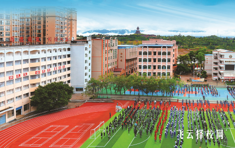 都江堰職中與普通高中對比分析報告