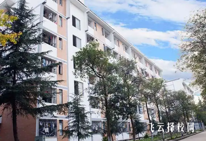 弘博中專學校校園安全管理體系全解析