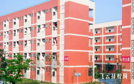 邛崍職高畢業生就業率及薪資水平調查