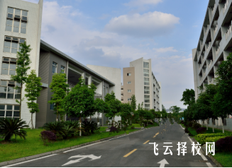 成都電子信息學校的教學模式