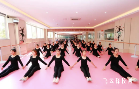 崇州職教中心幼教專業(yè)課程體系及教學(xué)特色