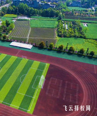 郫都友愛職校職教高考升學(xué)路徑與備考技巧