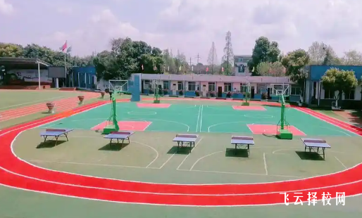 棠湖藝高管理嚴(yán)格嗎?初三家長擇校必讀