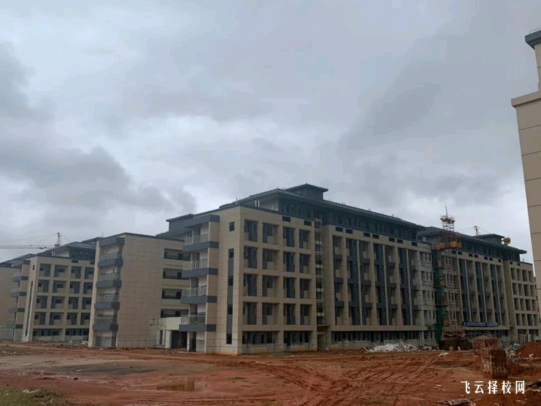 孩子中考后情緒低落,家長怎么安慰最有效