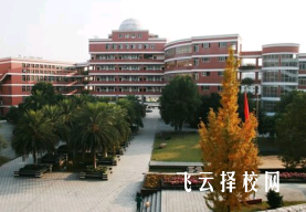 適合女生的中職專業類型推薦指南