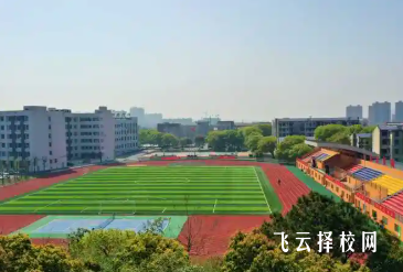 中職學?？疾烨鍐危菏程盟奚岬綄嵱柺业谋乜醇毠?>
                    </div>
                    <div   id=