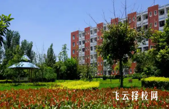 成都指南針職業技術學校文化課教什么？語數外課程占比