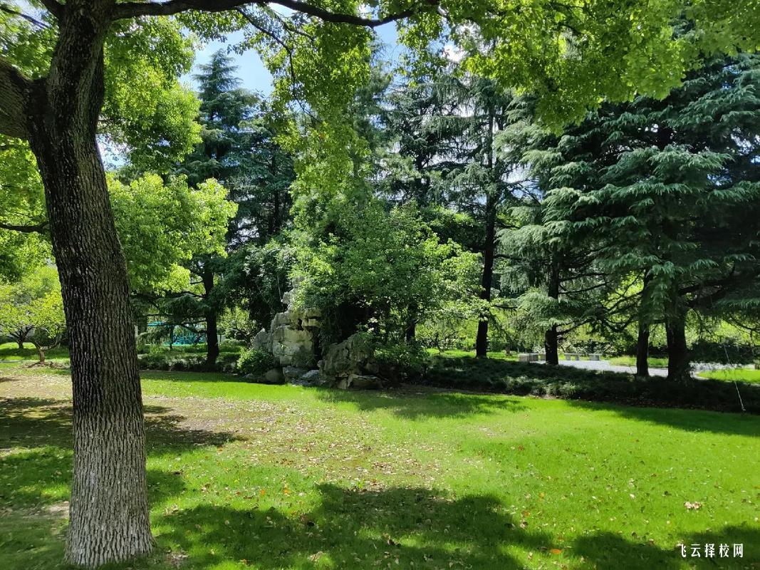 四川托普計算機畢業生都去哪就業？薪資待遇大公開