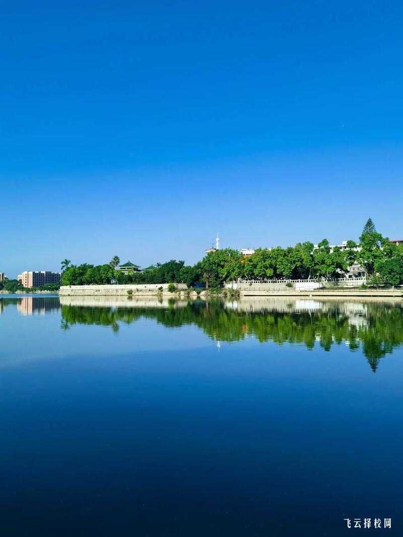 四川托普計算機職業學校IT專業強嗎？初中生學編程有前途嗎