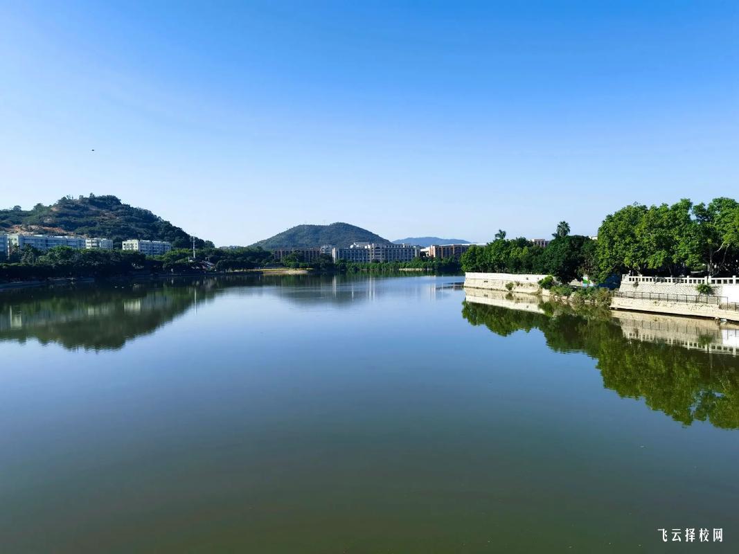 四川托普計算機職業(yè)學(xué)校IT專業(yè)強嗎？初中生學(xué)編程有前途嗎