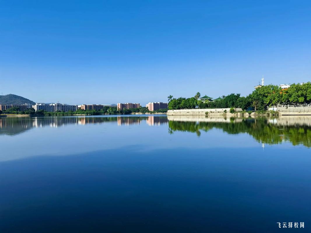 想學人工智能？四川托普計算機學校課程設置全解析