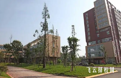 四川現代藝術學校藝術類升學率調查：適合初三學生報考嗎