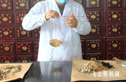 四川理工技師學院中藥專業怎么樣?就業方向是什么