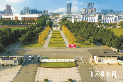 2025成都地區單招院校錄取分數線排行